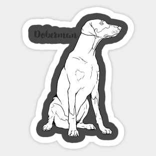 Doberman – rasa psa Sticker